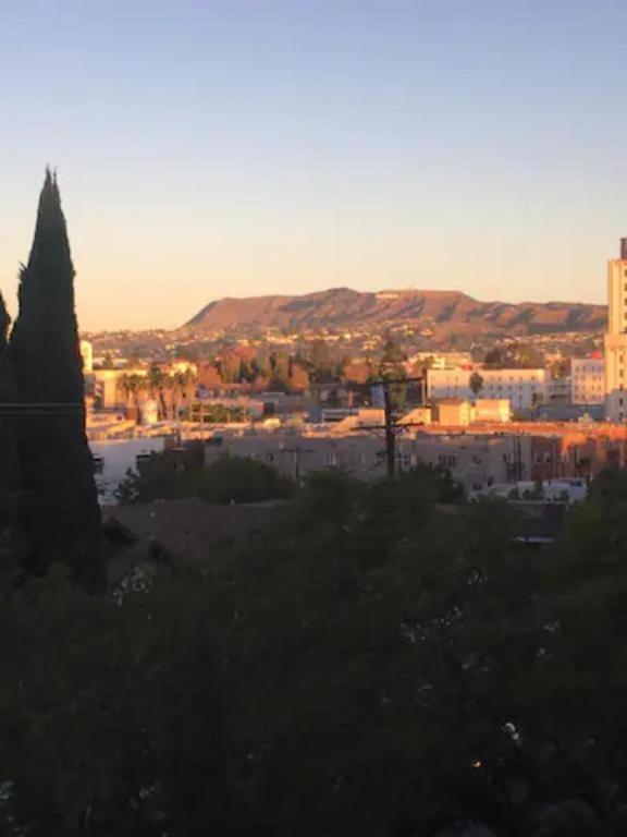 Appartement Lovely Hollywood Studio With Pool, Balcony And Parking *